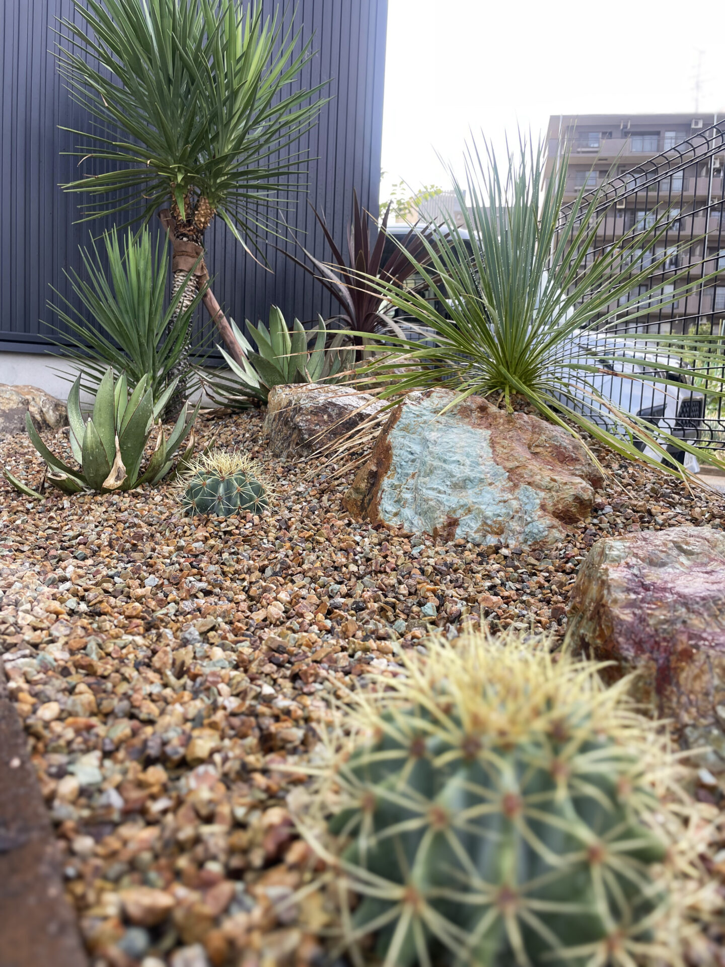 店舗入口に設けたドライガーデンの植栽施工