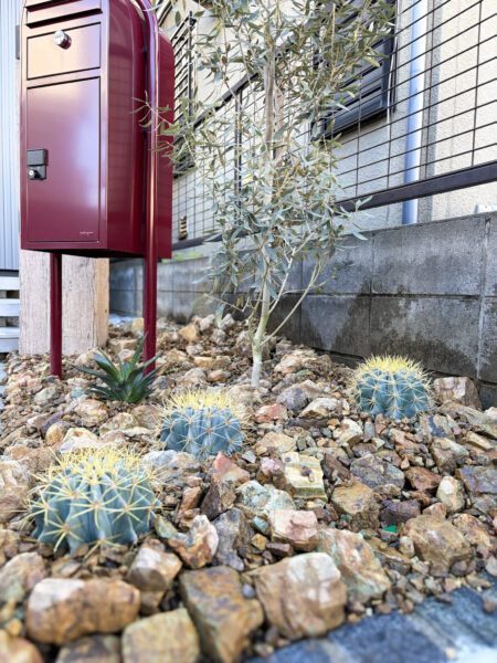 アガベとユッカ使った玄関アプローチのガーデニング施工